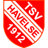 Team logo